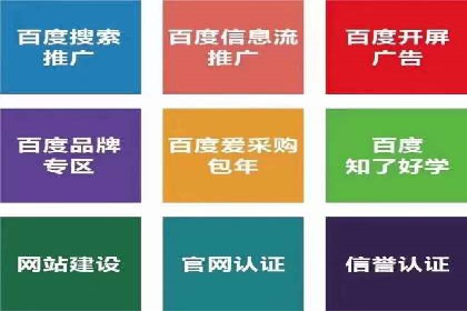 网站SEM托管服务成功案例分享